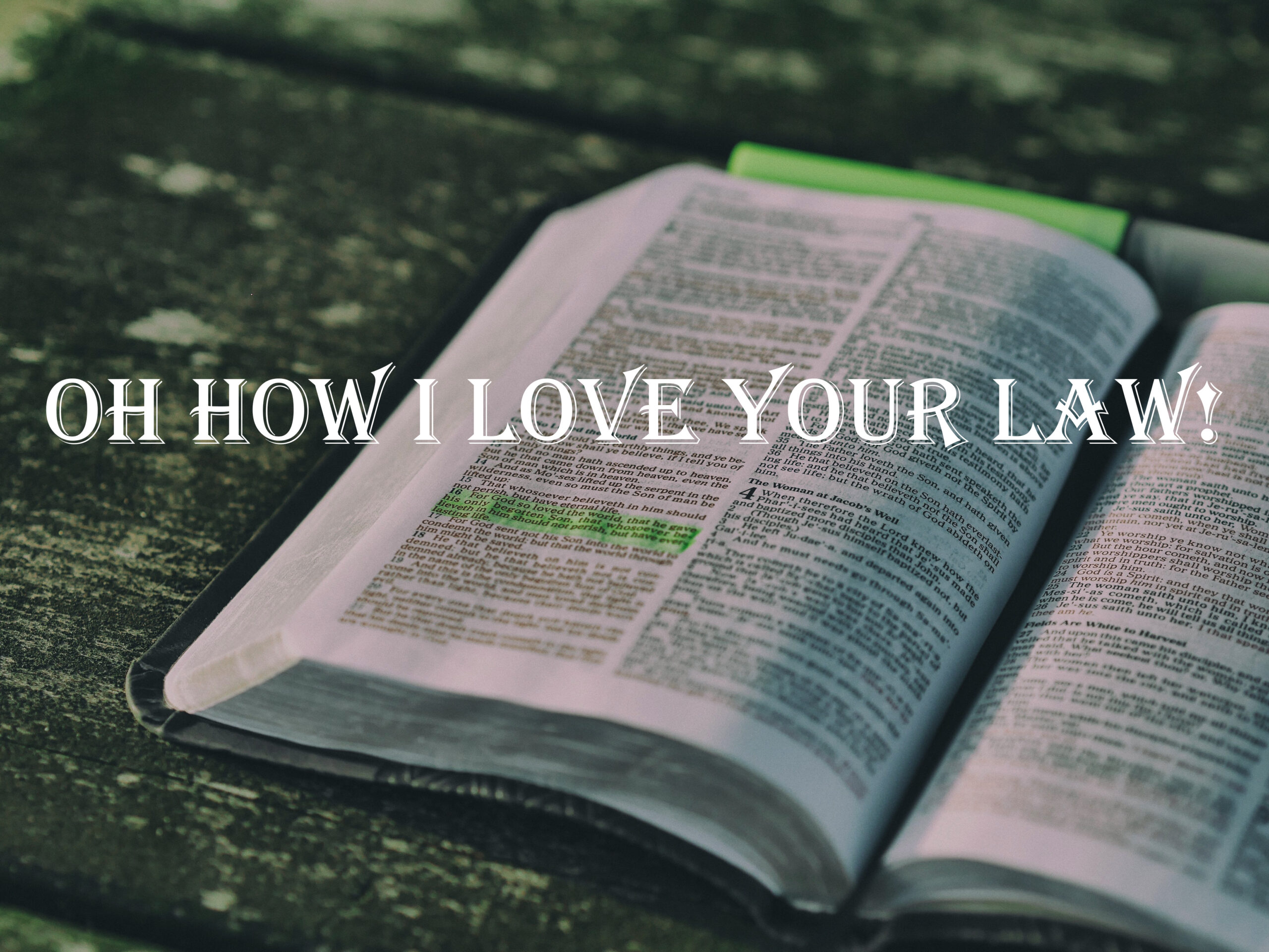 bible-1868359